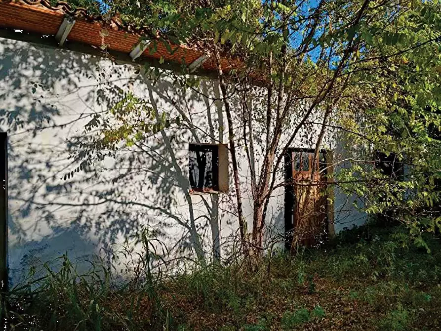 Immagine 5 di Capannone industriale in vendita  in Via Risorgimento a Santa Lucia Di Piave