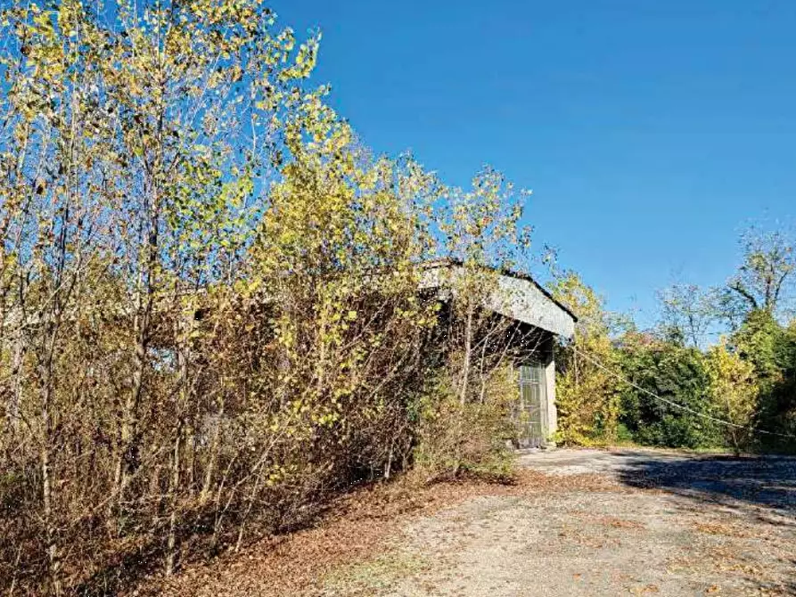Immagine 7 di Capannone industriale in vendita  in Via Risorgimento a Santa Lucia Di Piave