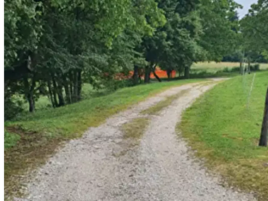 Immagine 2 di Terreno edificabile in vendita  in Località Novegno a Arsie'