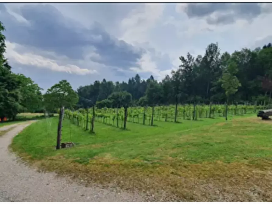 Immagine 3 di Terreno edificabile in vendita  in Località Novegno a Arsie'