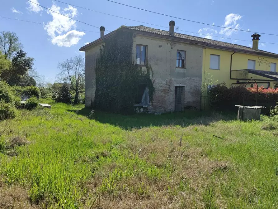 Immagine 2 di Porzione di casa in vendita  in Via Nespolaro a Migliarino