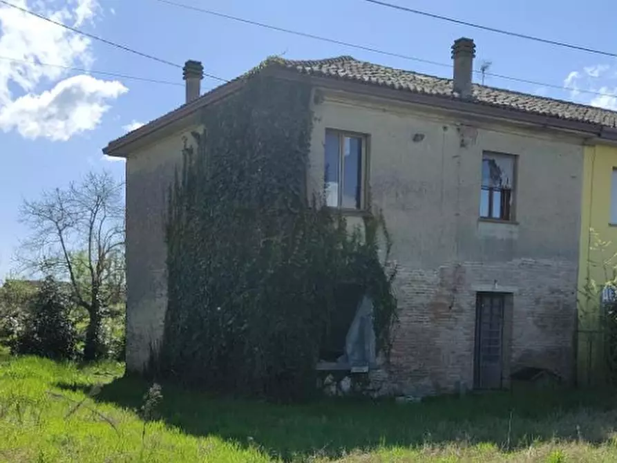 Immagine 3 di Porzione di casa in vendita  in Via Nespolaro a Migliarino