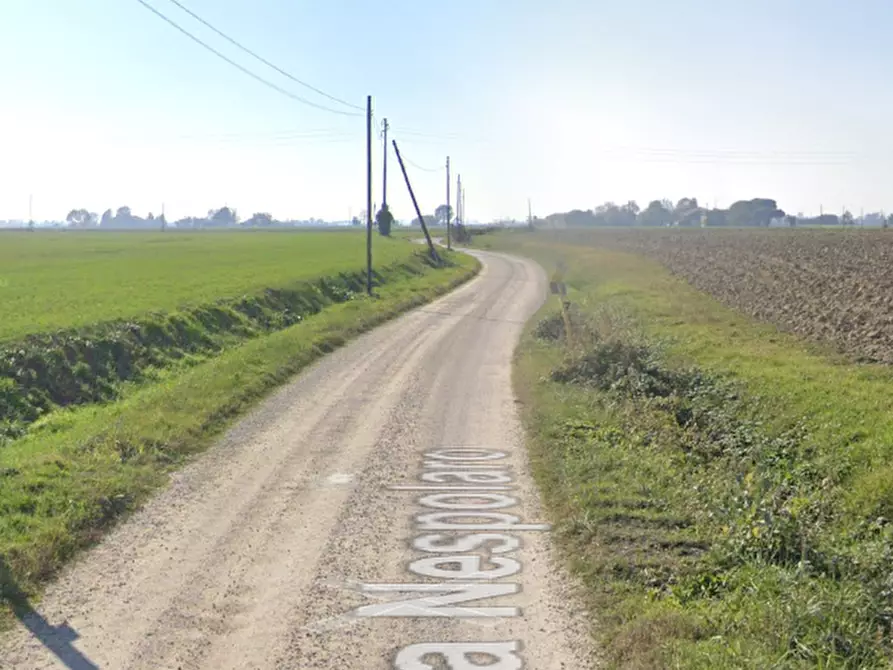 Immagine 11 di Porzione di casa in vendita  in Via Nespolaro a Migliarino