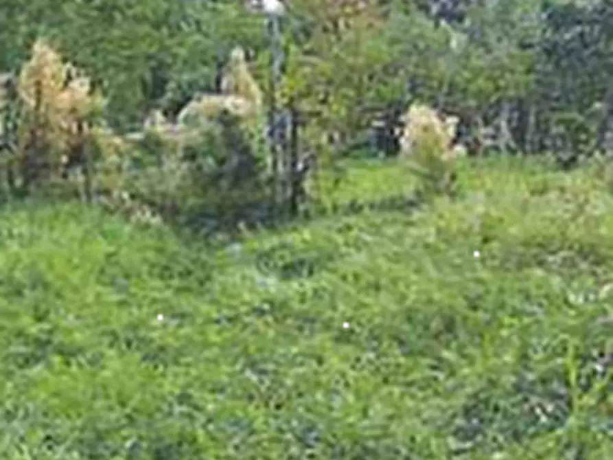 Immagine 8 di Porzione di casa in vendita  in Via Rubini   a Corbola