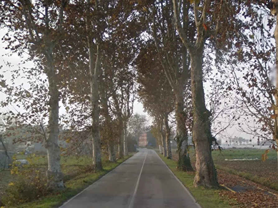 Immagine 16 di Casa indipendente in vendita  in Via Ferrara a Ostellato