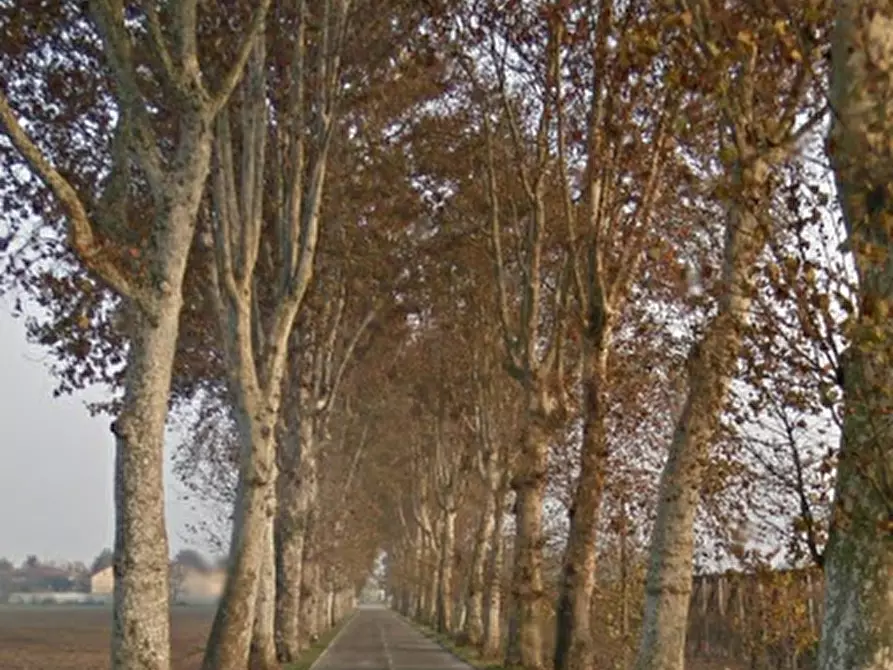 Immagine 17 di Casa indipendente in vendita  in Via Ferrara a Ostellato