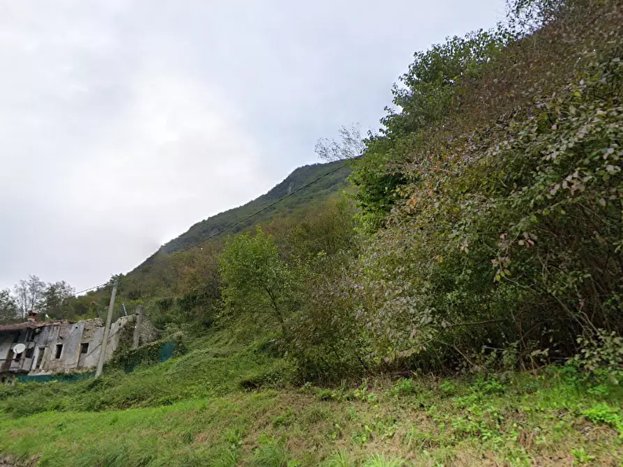 Immagine 17 di Casa indipendente in vendita  in  Loc. Canal a Feltre