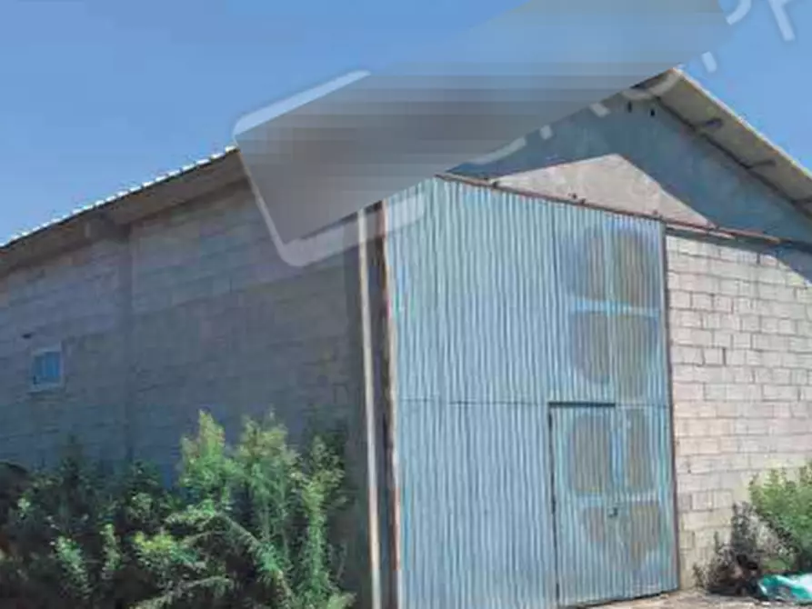 Immagine 1 di Terreno agricolo in vendita  in Strada provinciale Bel Bosco a Codigoro