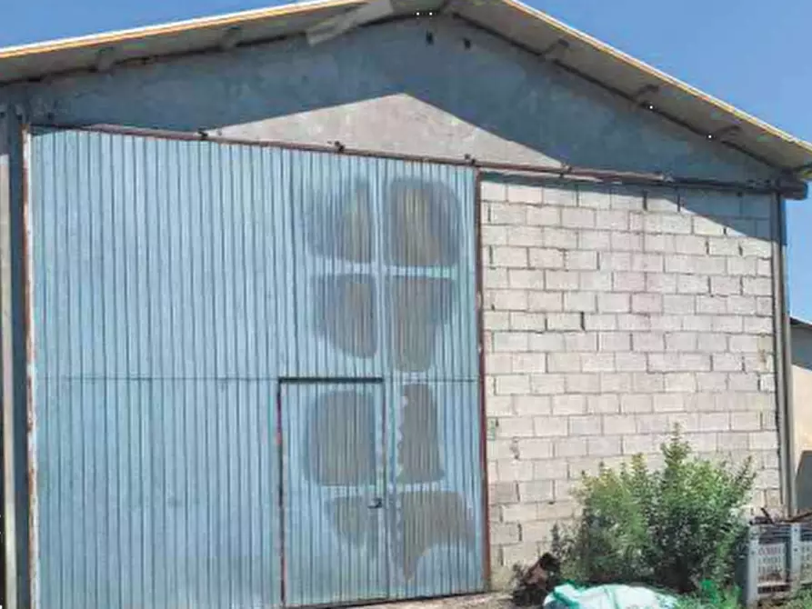 Immagine 2 di Terreno agricolo in vendita  in Strada provinciale Bel Bosco a Codigoro
