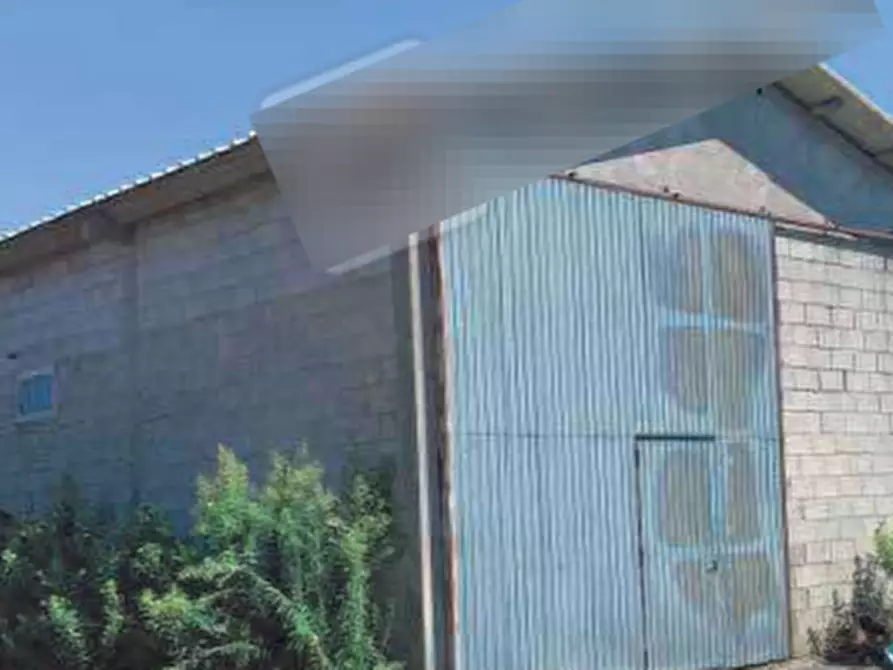 Immagine 3 di Terreno agricolo in vendita  in Strada provinciale Bel Bosco a Codigoro