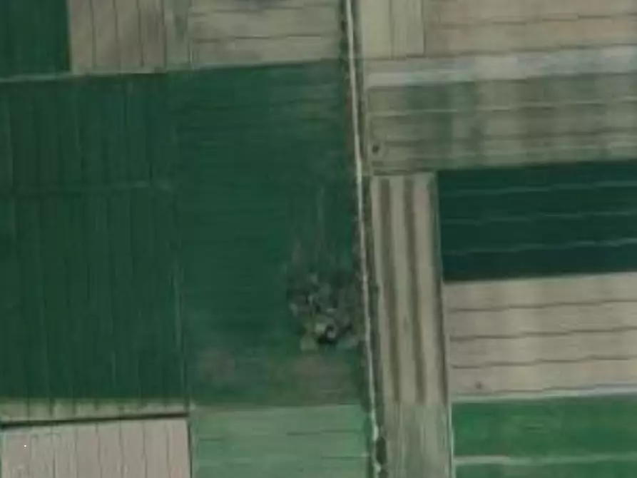 Immagine 13 di Terreno agricolo in vendita  in Strada provinciale Bel Bosco a Codigoro