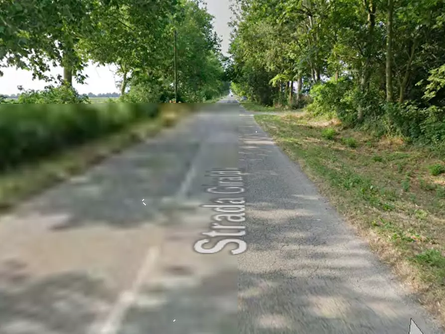 Immagine 18 di Terreno agricolo in vendita  in Strada provinciale Bel Bosco a Codigoro
