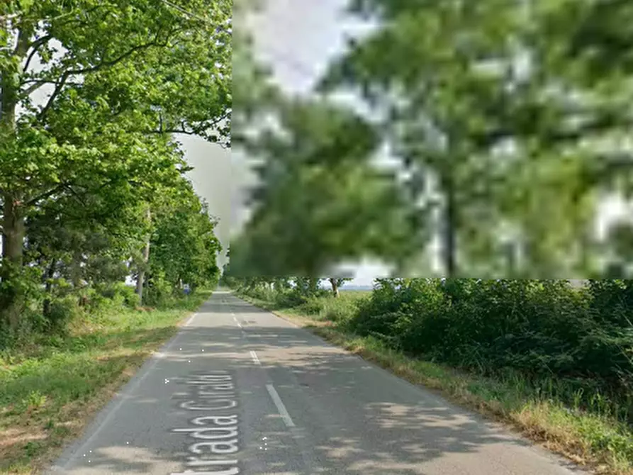 Immagine 19 di Terreno agricolo in vendita  in Strada provinciale Bel Bosco a Codigoro