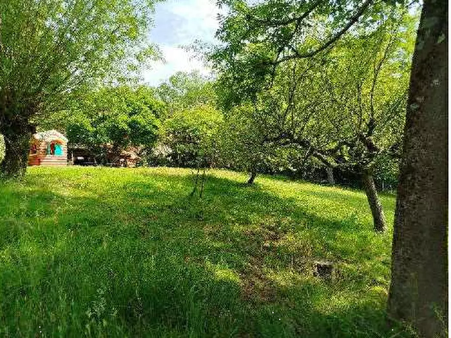 Immagine 14 di Stabile in vendita  in Località Campaz a Sospirolo