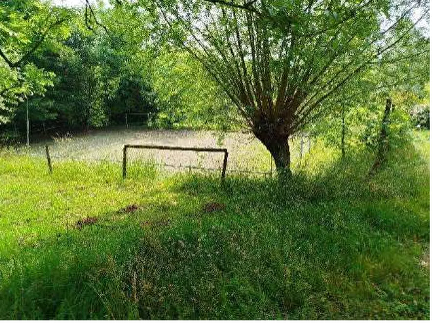 Immagine 16 di Stabile in vendita  in Località Campaz a Sospirolo