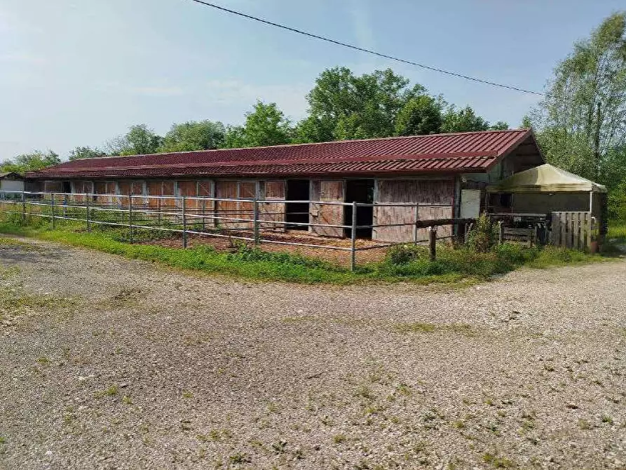 Immagine 2 di Capannone industriale in vendita  in Frazione Cassol a Santa Giustina