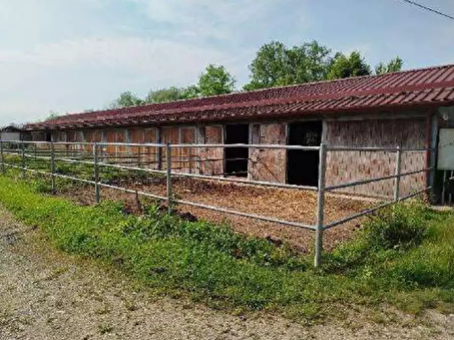 Immagine 6 di Capannone industriale in vendita  in Frazione Cassol a Santa Giustina