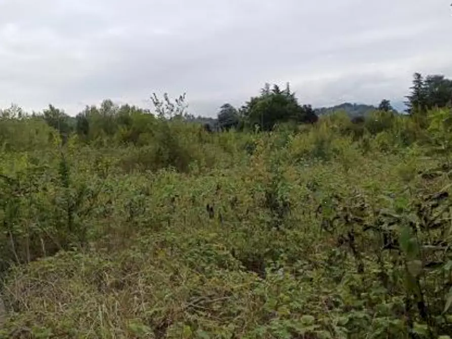 Immagine 8 di Terreno edificabile in vendita  in Via Michele Gortani a Majano