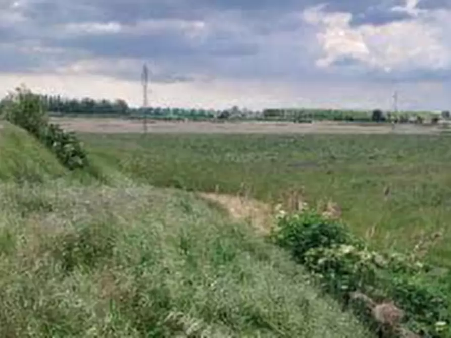 Immagine 1 di Terreno agricolo in vendita  in Via Calà Forca a Lendinara
