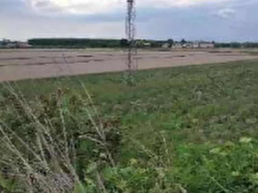 Immagine 4 di Terreno agricolo in vendita  in Via Calà Forca a Lendinara