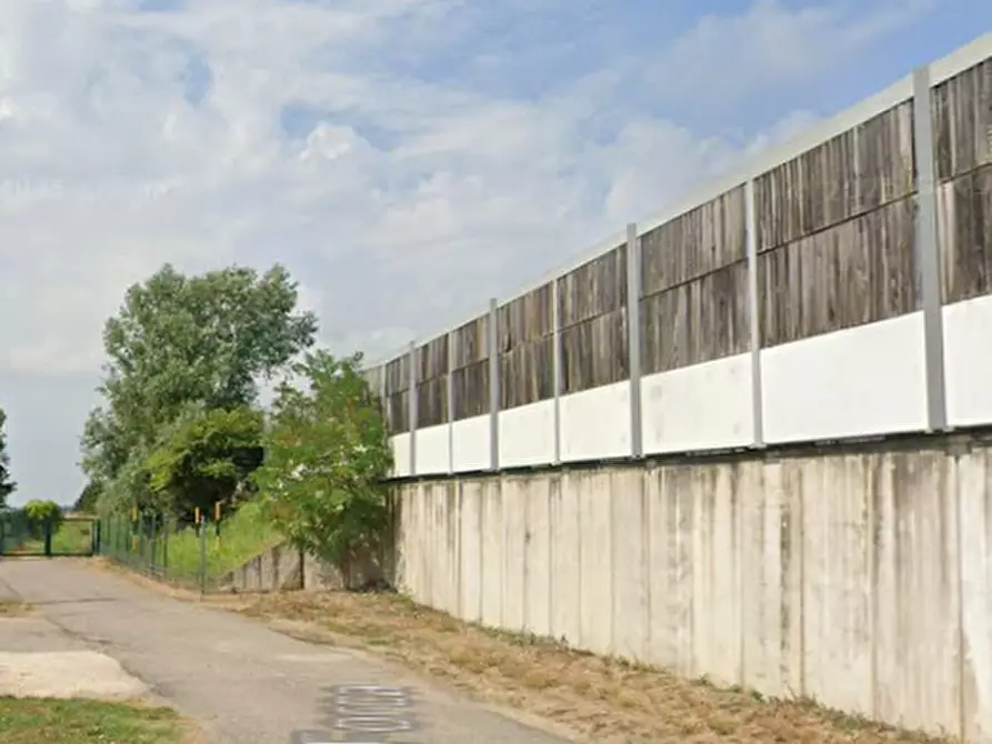 Immagine 5 di Terreno agricolo in vendita  in Via Calà Forca a Lendinara