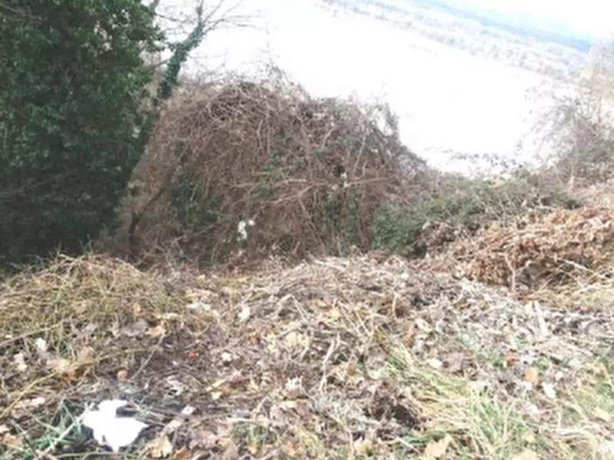 Immagine 2 di Terreno agricolo in vendita  in Via S. Giovanni in Monte a Ragogna