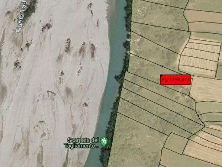 Immagine 10 di Terreno agricolo in vendita  in Via S. Giovanni in Monte a Ragogna