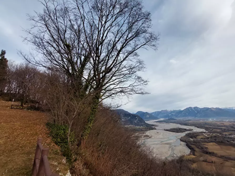Immagine 1 di Terreno agricolo in vendita  in Via S. Giovanni in Monte a Ragogna