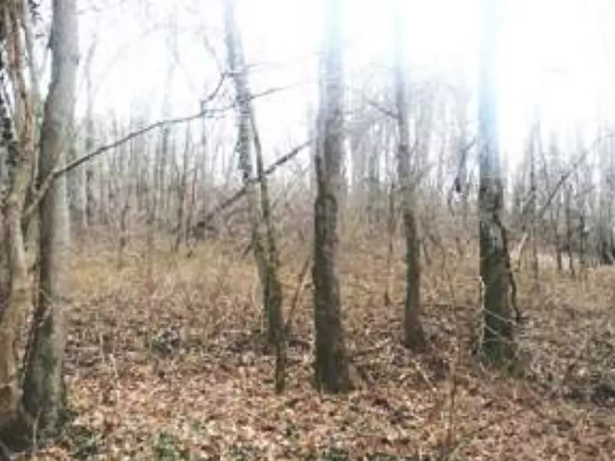 Immagine 2 di Terreno agricolo in vendita  in Via S. Luca a San Daniele Del Friuli