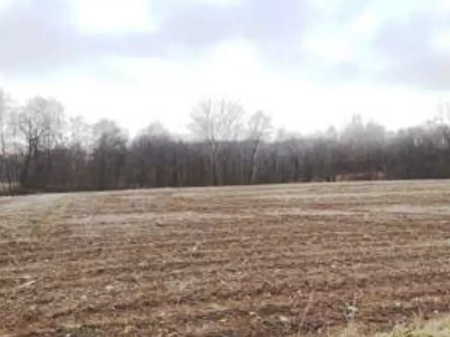 Immagine 3 di Terreno agricolo in vendita  in Via S. Luca a San Daniele Del Friuli