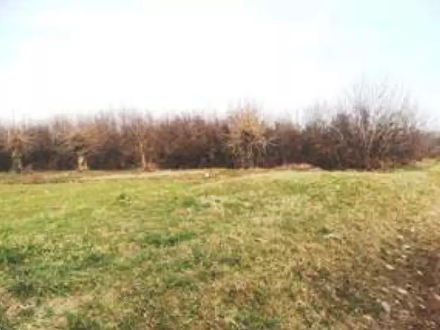 Immagine 6 di Terreno agricolo in vendita  in Via S. Luca a San Daniele Del Friuli