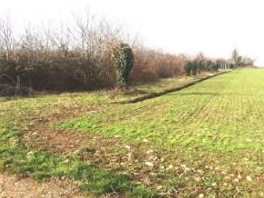 Immagine 7 di Terreno agricolo in vendita  in Via S. Luca a San Daniele Del Friuli