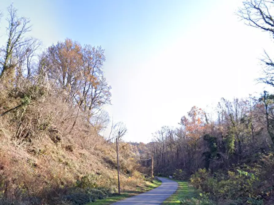 Immagine 8 di Terreno agricolo in vendita  in Via S. Luca a San Daniele Del Friuli