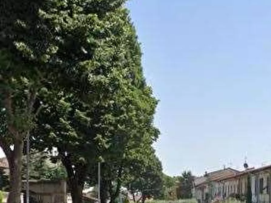 Immagine 3 di Negozio in vendita  in Via Fiorentina a Pistoia