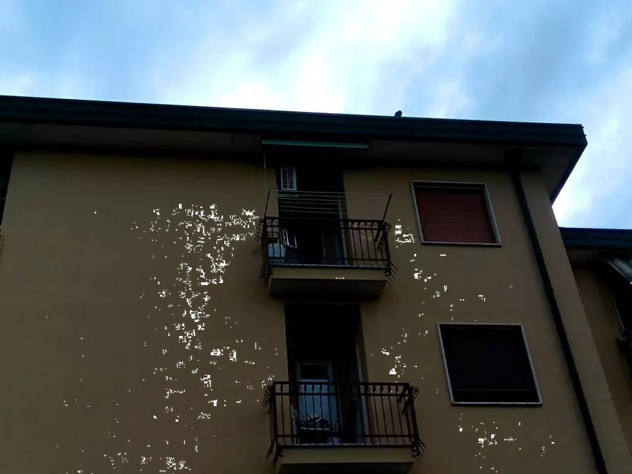 Immagine 3 di Appartamento in vendita  in Via Mario Belli a Pozzuolo Martesana