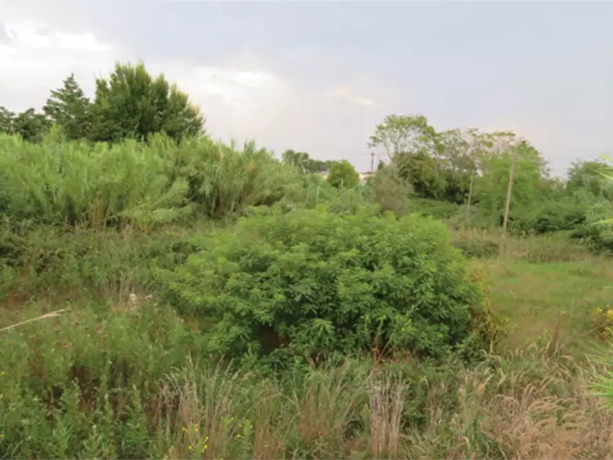 Immagine 5 di Capannone industriale in vendita  in Strada Statale Romea a Chioggia