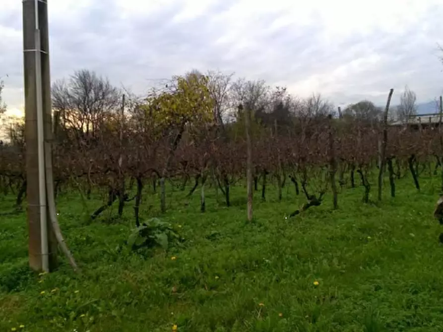 Immagine 7 di Casa indipendente in vendita  in Via C. Lenardon a Vivaro