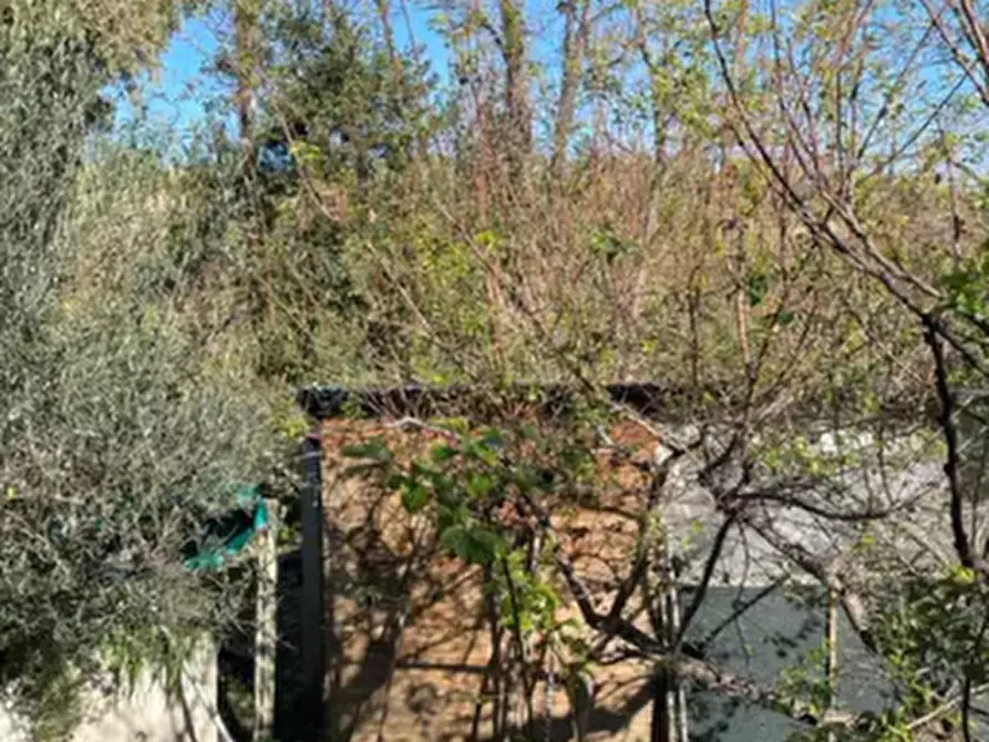 Immagine 3 di Terreno agricolo in vendita  in Monte Vidon Corrado a Montegiorgio