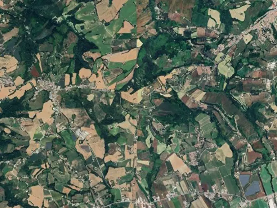 Immagine 5 di Terreno agricolo in vendita  in Monte Vidon Corrado a Montegiorgio