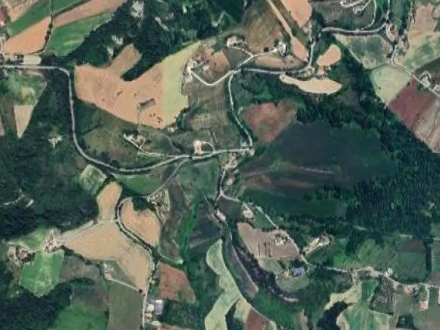 Immagine 6 di Terreno agricolo in vendita  in Monte Vidon Corrado a Montegiorgio