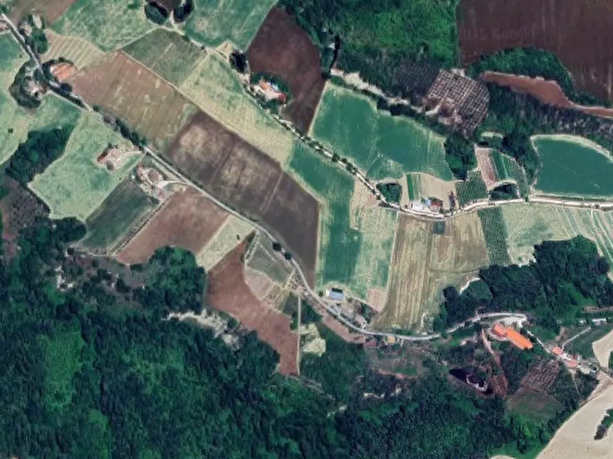 Immagine 1 di Terreno agricolo in vendita  in Via Agelli  a Petritoli