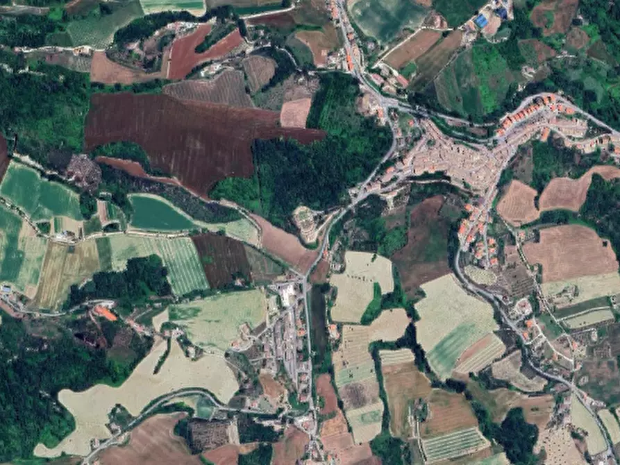 Immagine 3 di Terreno agricolo in vendita  in Via Agelli  a Petritoli