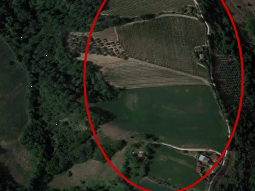 Immagine 2 di Terreno agricolo in vendita  in Contrada Granaro a Petritoli