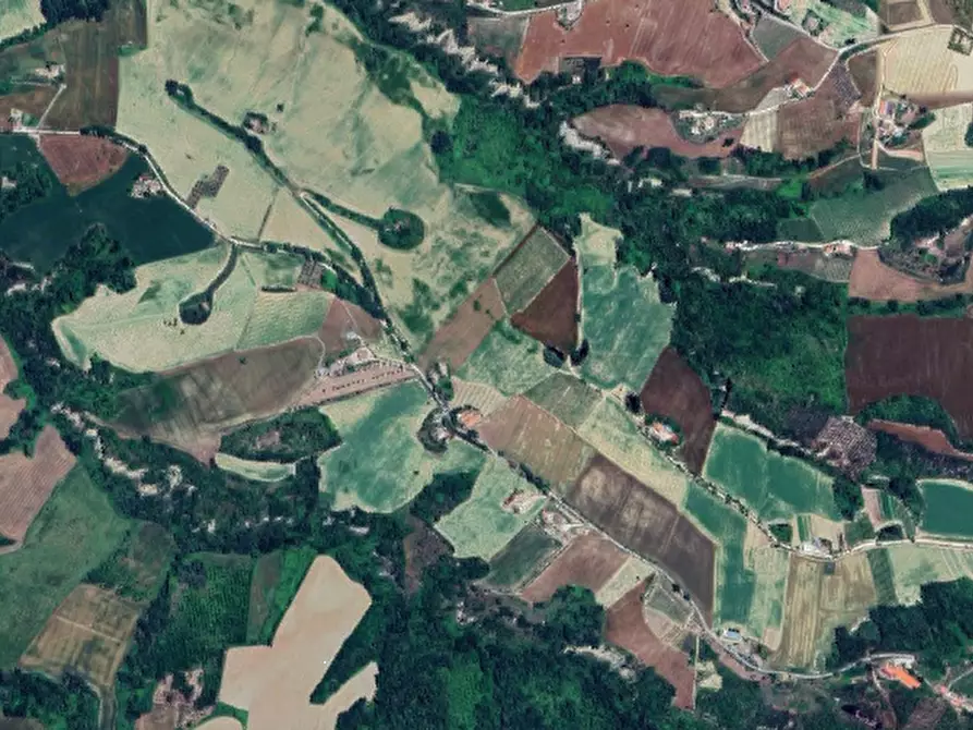 Immagine 3 di Terreno agricolo in vendita  in Contrada Granaro a Petritoli