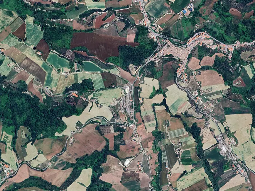 Immagine 4 di Casa indipendente in vendita  in Via Agelli a Petritoli