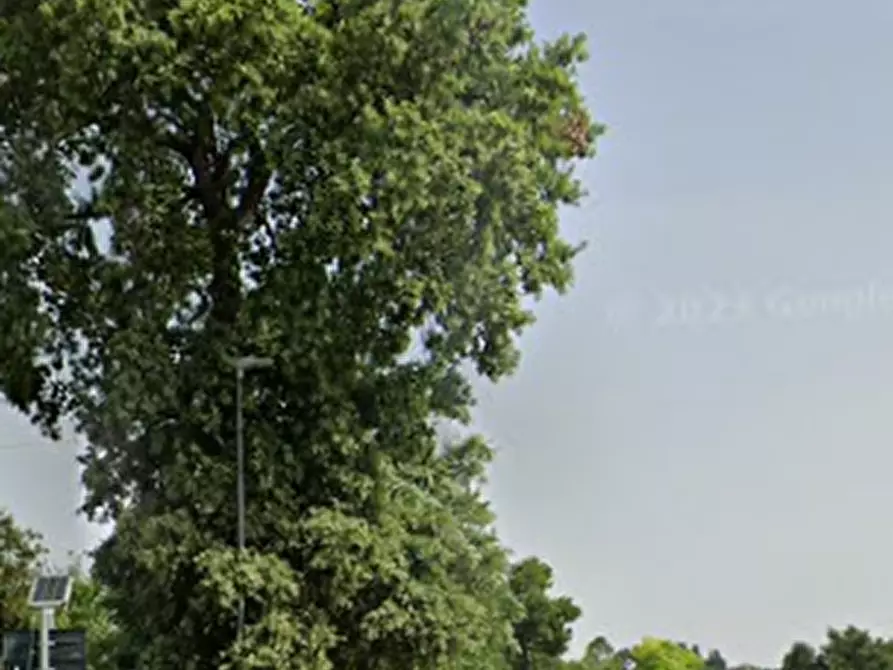 Immagine 2 di Terreno agricolo in vendita  in Via Agelli a Petritoli