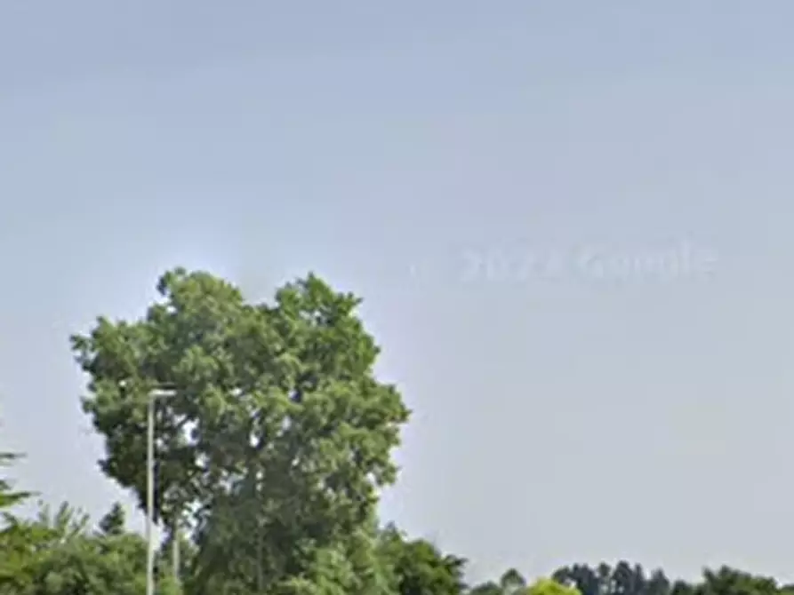 Immagine 4 di Terreno agricolo in vendita  in Via Agelli a Petritoli