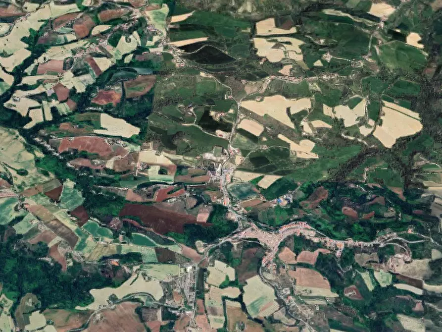 Immagine 6 di Terreno agricolo in vendita  in Via Agelli a Petritoli