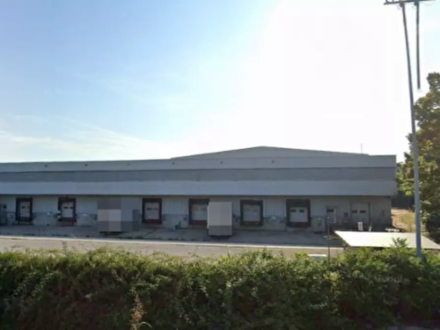 Immagine 6 di Capannone industriale in vendita  in Via Rovigana a Monselice