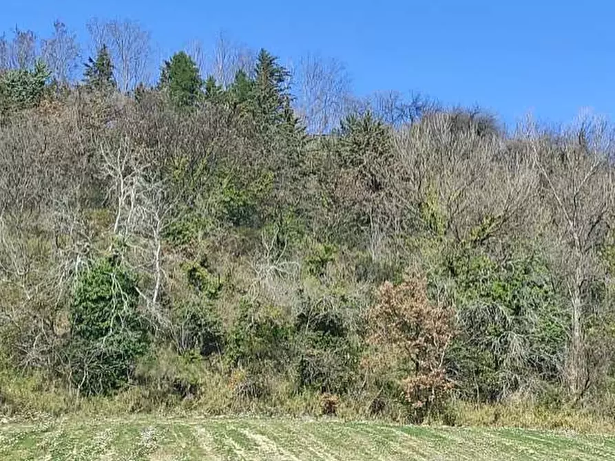 Immagine 21 di Casa indipendente in vendita  in Contrada Sant'Antonio  a Petritoli